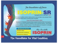 Visulaid-J_page-0036